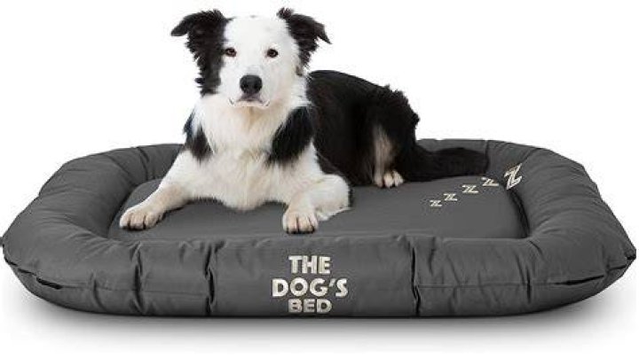 Best Dog Bed For Chewers One He Can't Get His Teeth Into!
