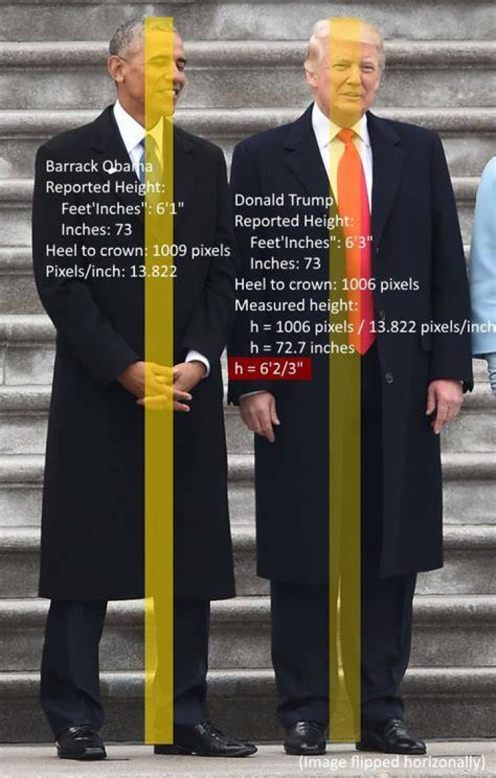 How Tall is Donald Trump? Discover the Truth Behind His Height EOD